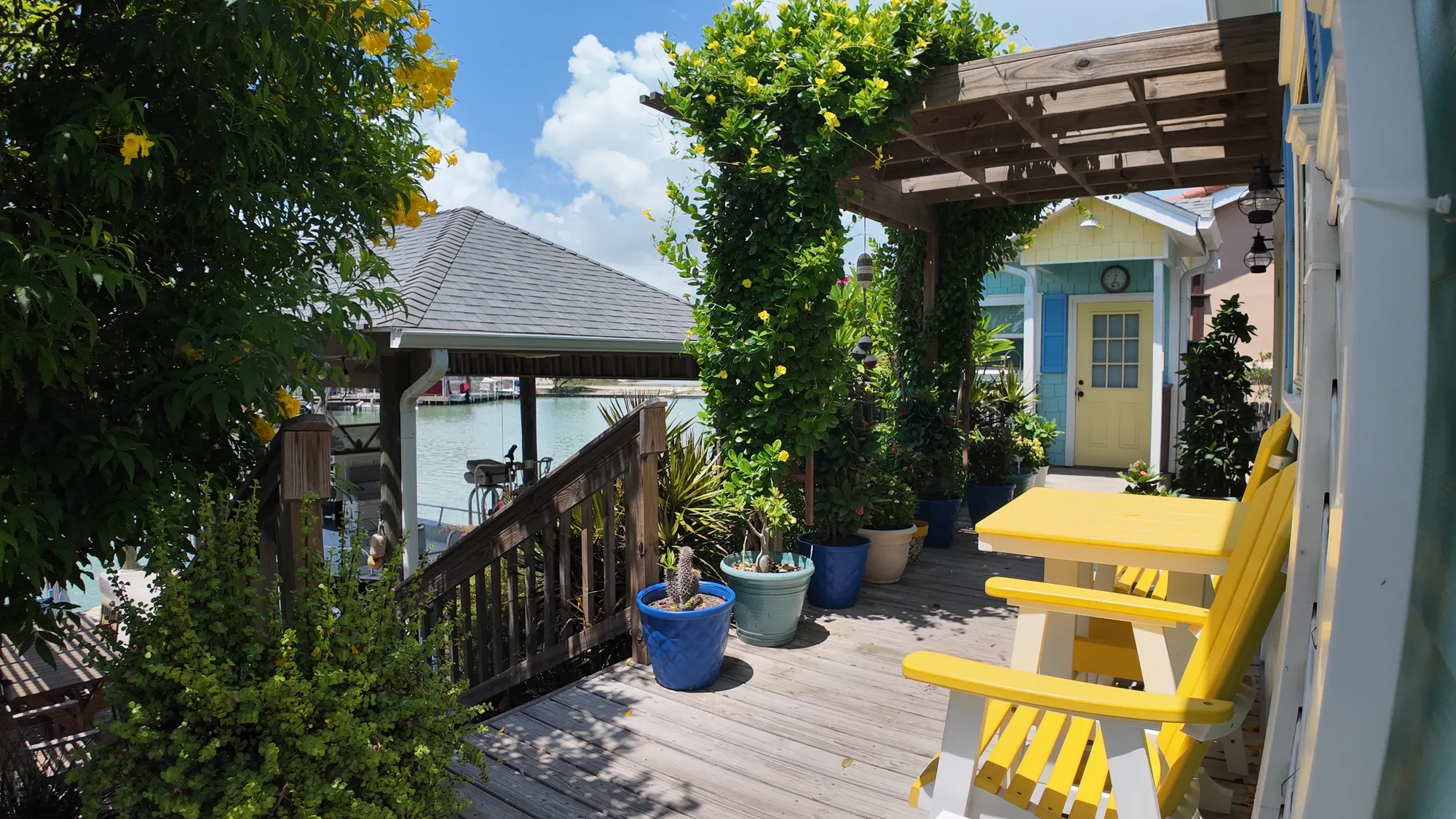 Colorful Backyard